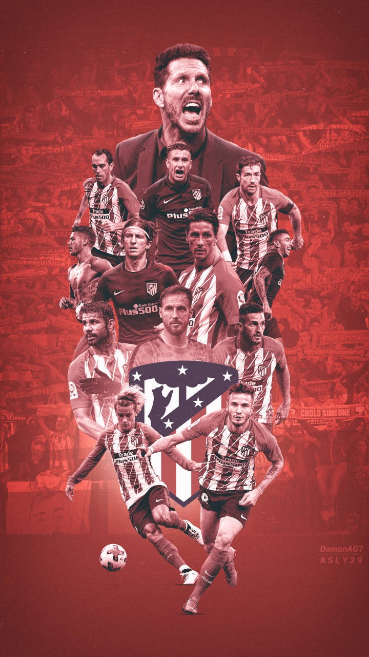 放大来看 放大来看